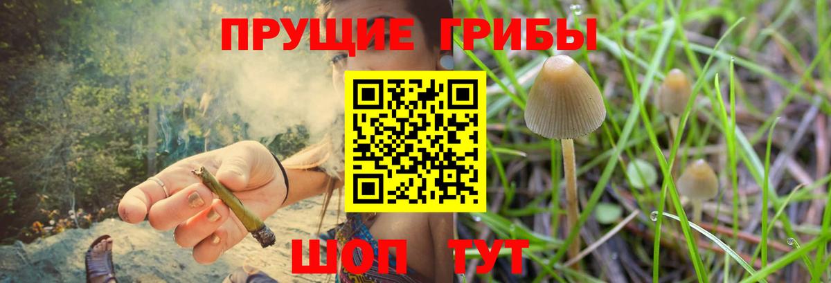 Псилоцибиновые грибы мухоморы Новотроицк